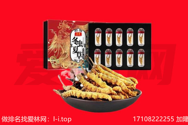 海宁市回收虫草.jpg